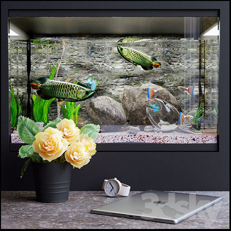 水族馆里的鱼缸和亚洲龙鱼素材之家精选3D模型