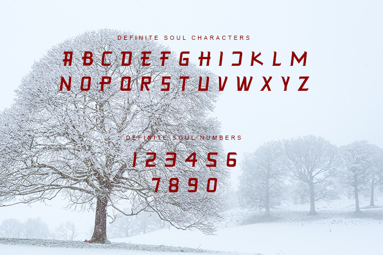 DEFINITE SOULOther Font插图1