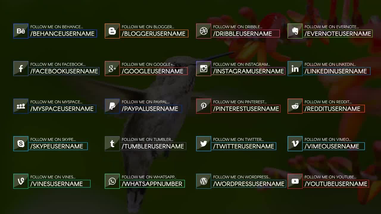 20组网络社交媒体字幕条动画素材库精选AE模板