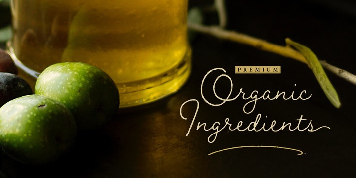 Braisetto Font Family素材之家精选英文字体