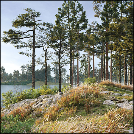 72款小树和大树素材之家精选3D模型