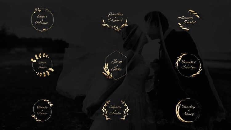 典雅婚礼标题效果ae模板