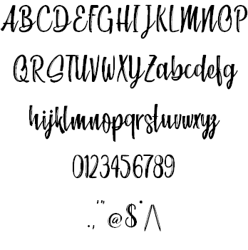 Beach Society font插图1