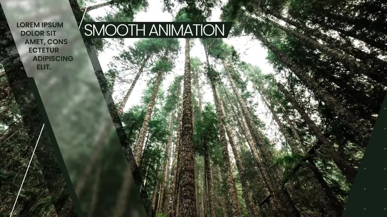 干净时尚精美幻灯片素材库精选AE模板