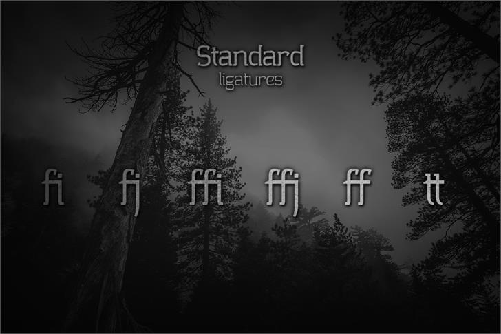 Collazio Personal Use font插图3