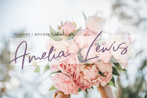 Fabinache Font插图1