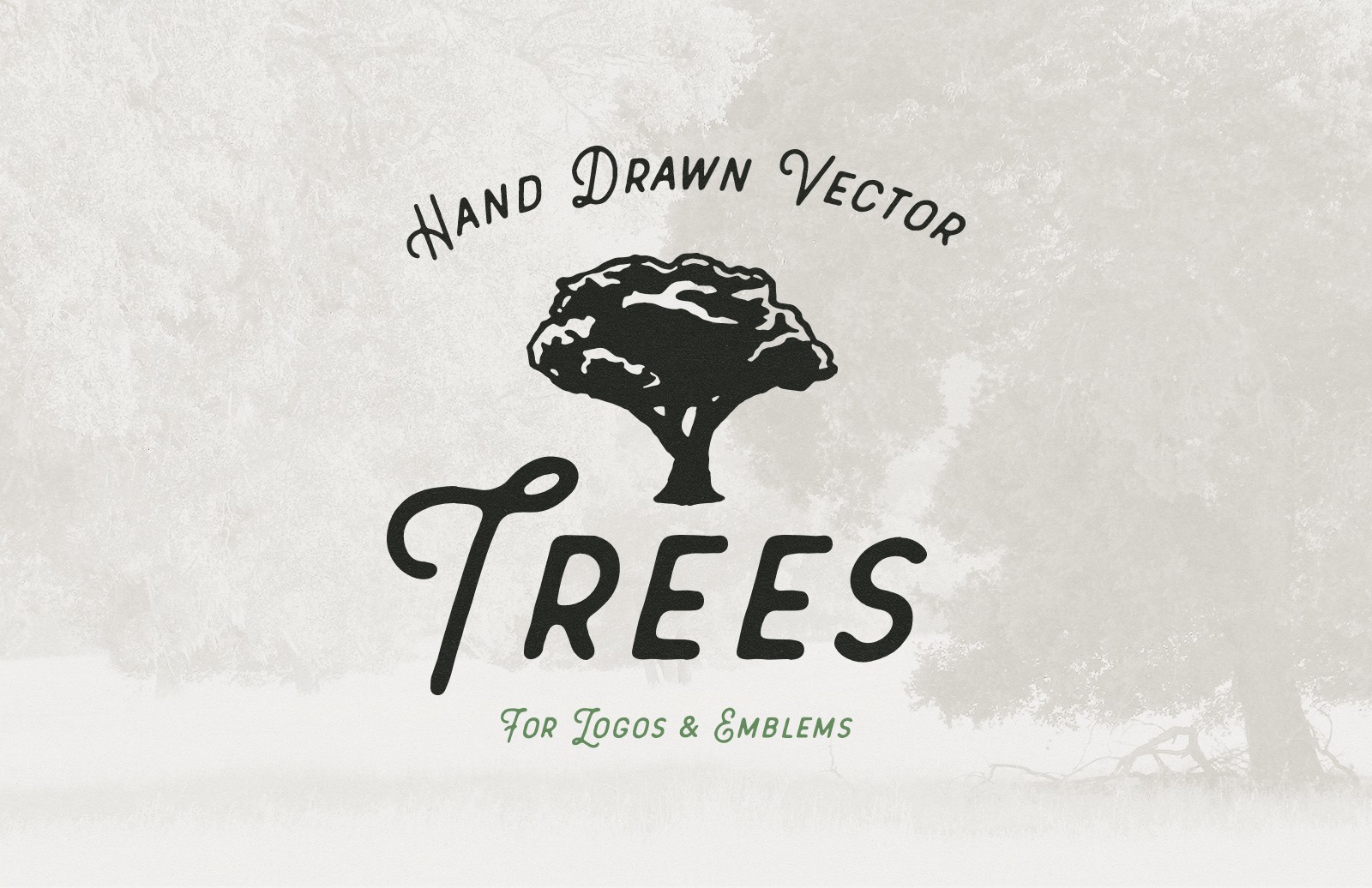 手绘树木矢量素材 Hand Drawn Vector Trees插图