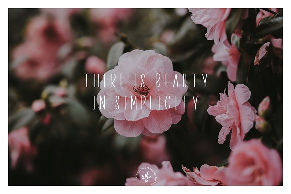 Rome | Font + Bonus插图4