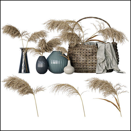 花瓶中的干芦苇室内装饰品素材之家精选3D模型