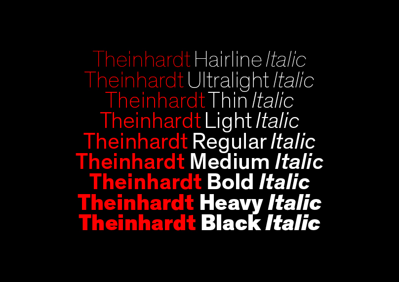 Theinhardt Pan Font Family插图5