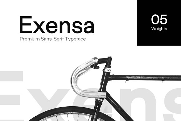 Exensa Grotesk Typeface + Web Fonts插图