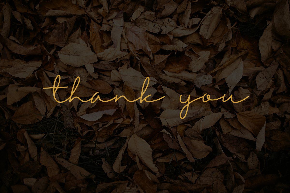 Autumn Mood Font插图4