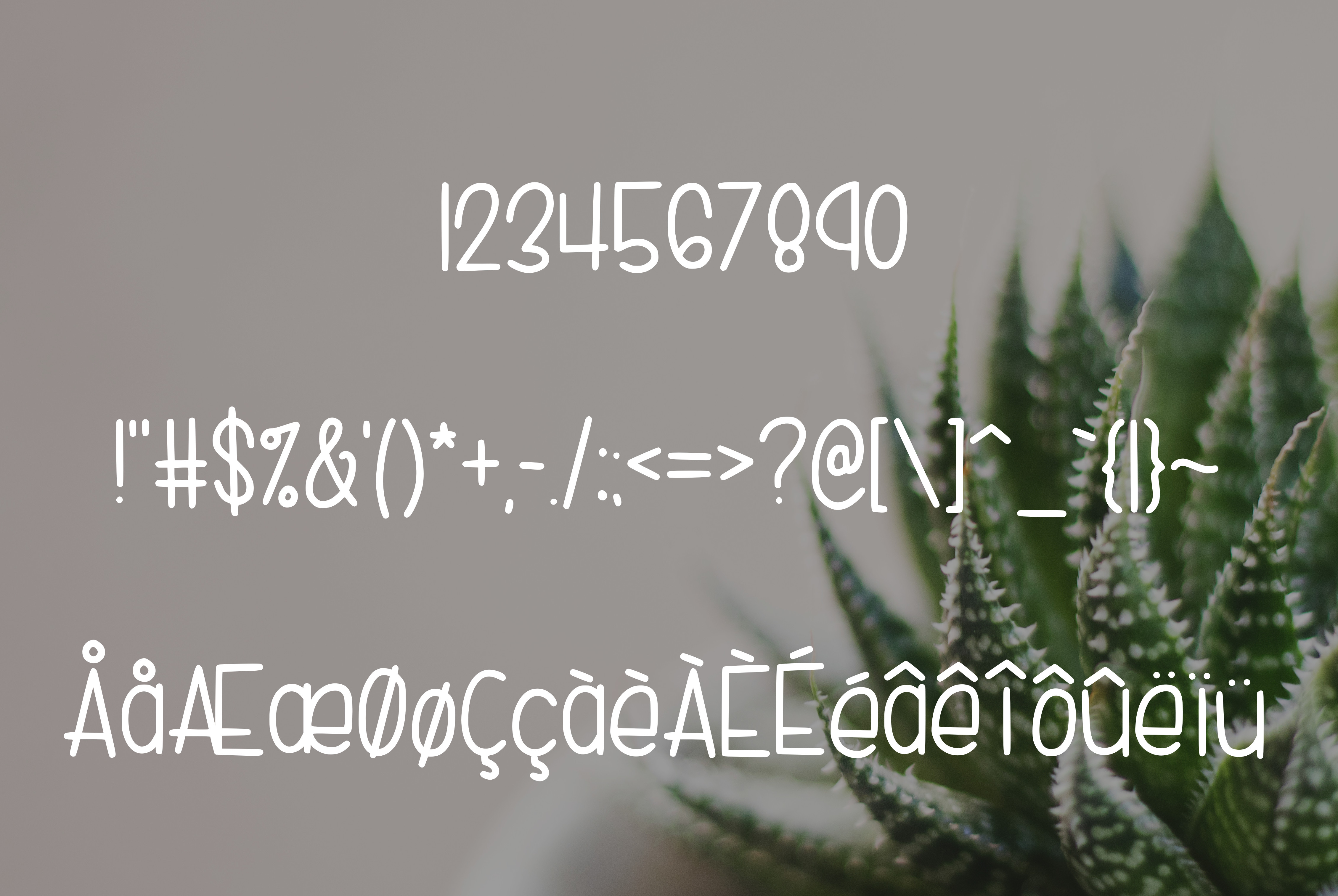 Simple Sunday插图2