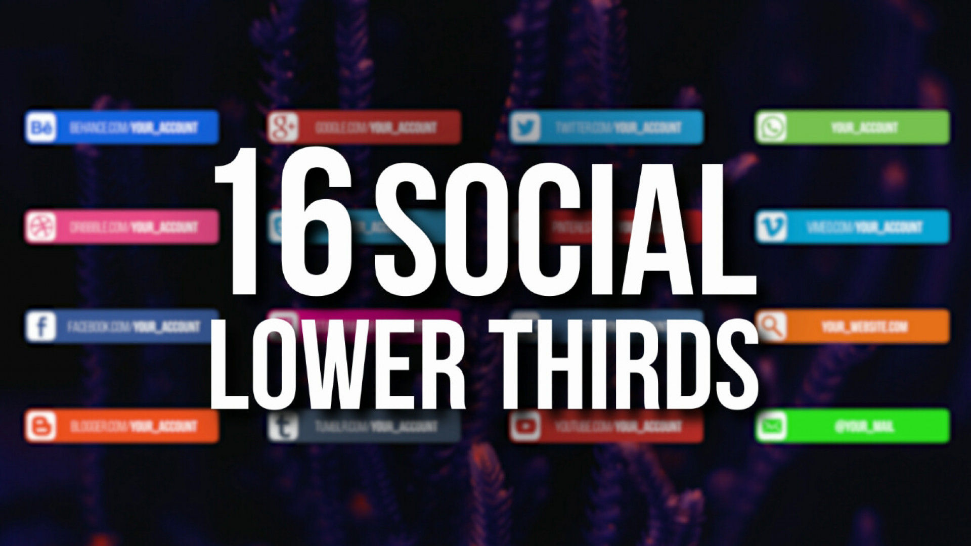 16个设计优雅的社交媒体字幕条动画素材库精选AE模板