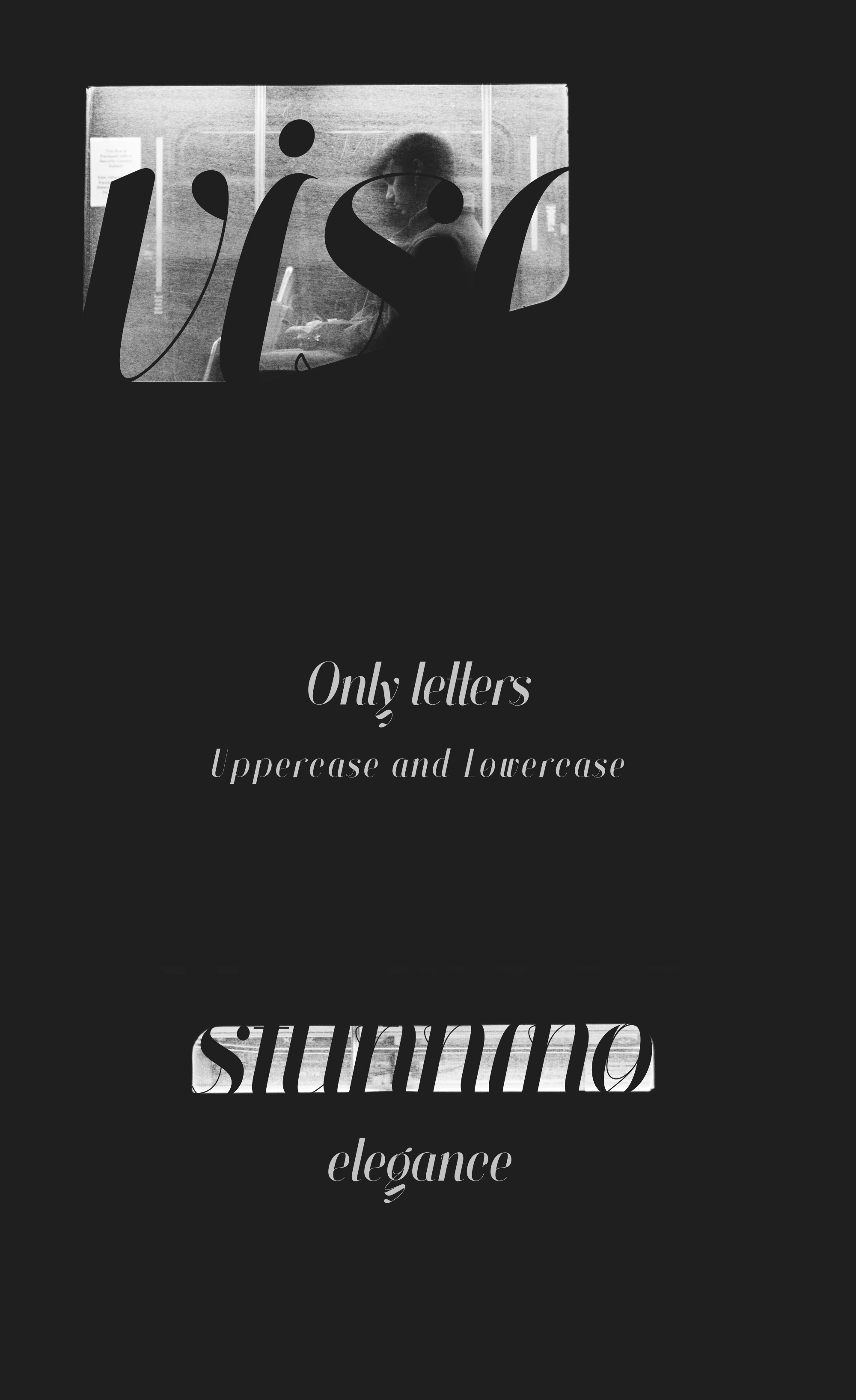 雅致设计风格英文衬线斜体字体 Finches Serif Italic Font插图(2)