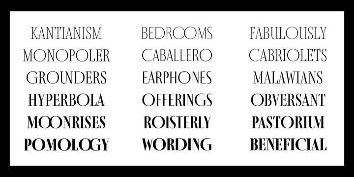 Fino Sans Font Family插图3