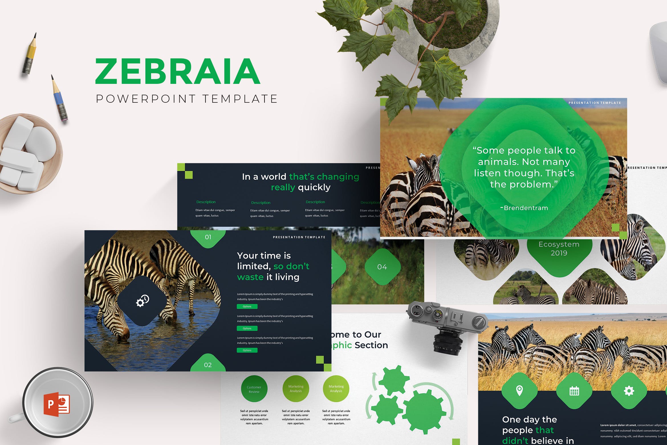 动物斑马研究主题PPT幻灯片模板 Zebraira – Powerpoint Template插图