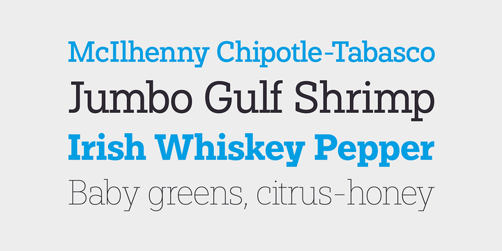 Paul Slab Font Family插图8