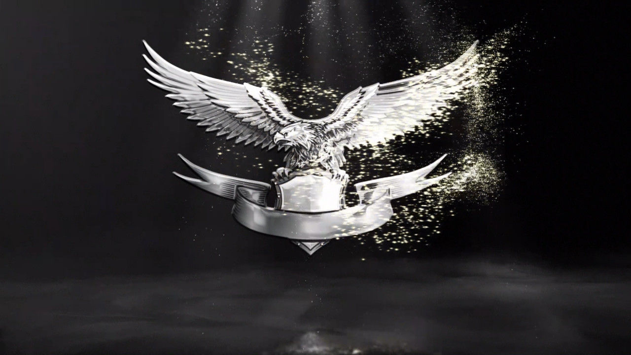 快速粒子徽标素材库精选AE模板