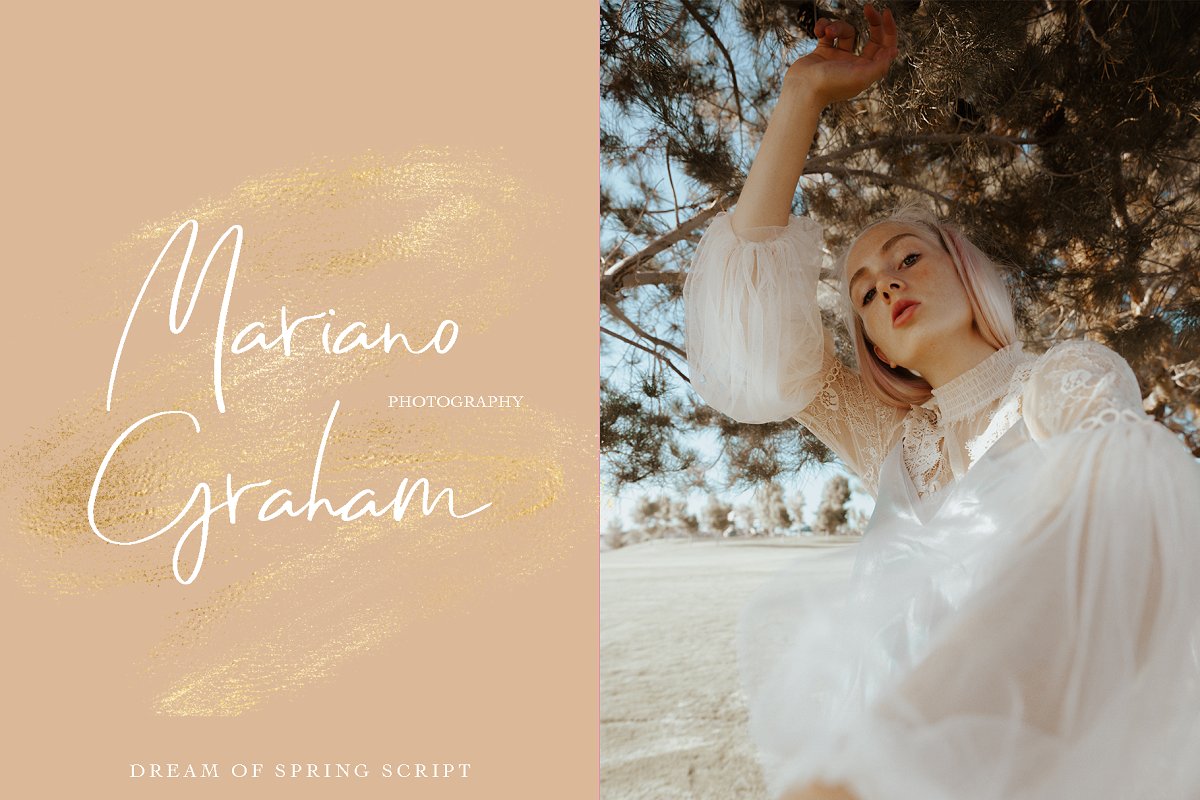 Dream of Spring Font插图2