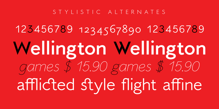 Selene Font Family素材之家精选英文字体