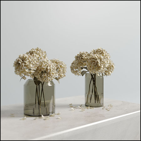 花瓶里干掉的绣球花素材之家精选3D模型