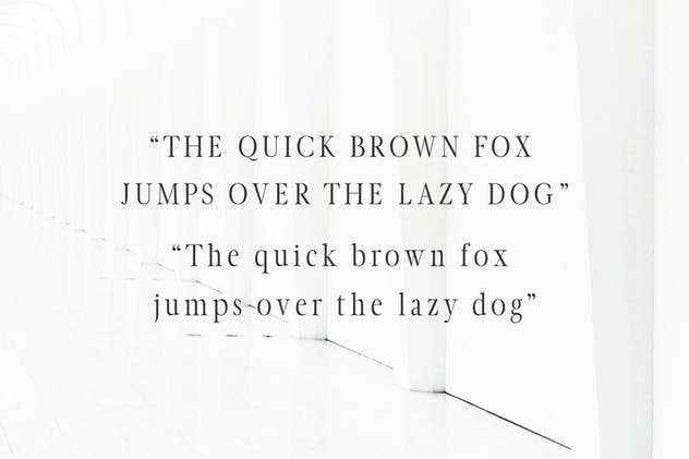 现代极简衬线字体家族 Glamour Luxury Serif Font Family插图(2)