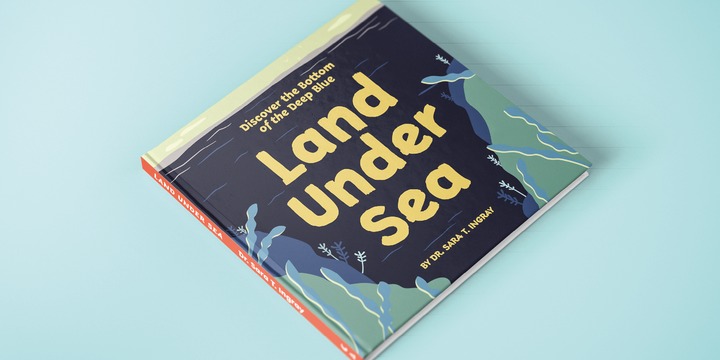 Terry Junior Font Family插图4