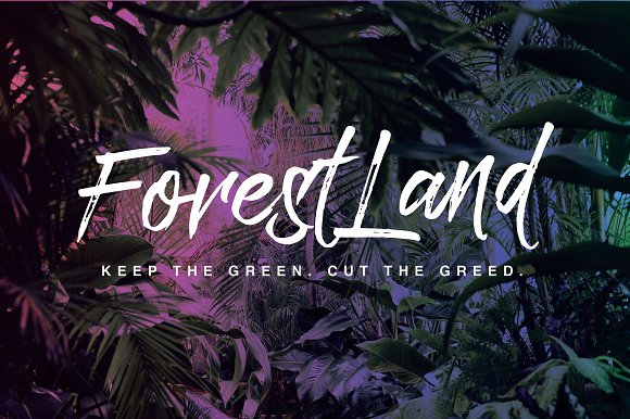 Paradise Typeface Font插图1