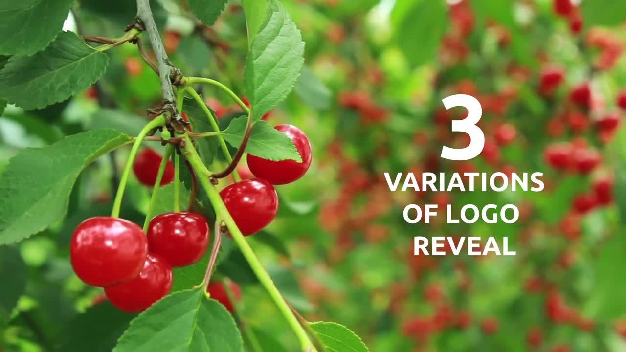 纯色徽标过渡效果显示素材库精选AE模板