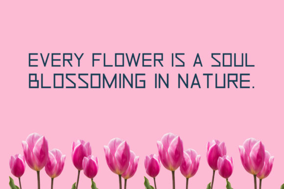 Kobhux Fearless Font插图1