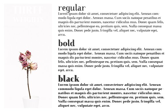 Farewell Angelina Display Font插图3