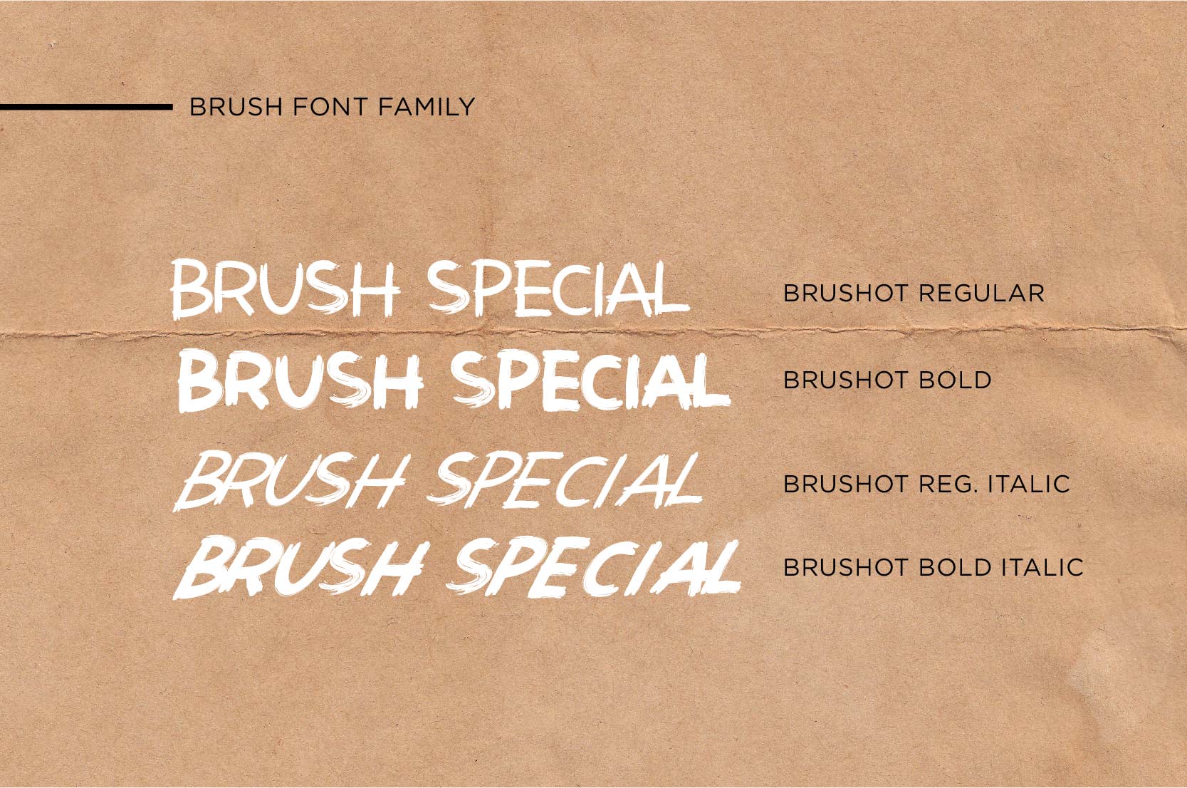 Brushot 4 Font Plus Swash插图1