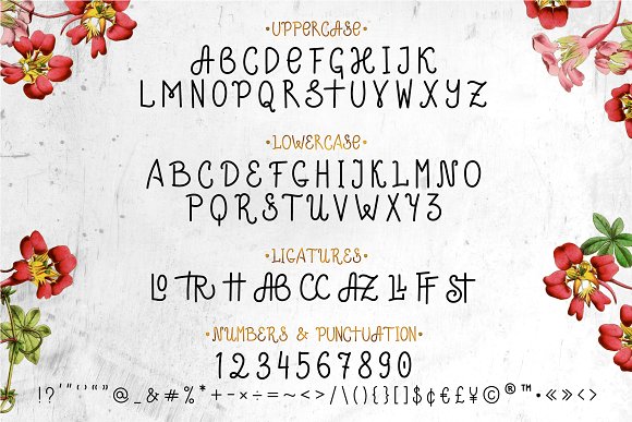 Stay True Font插图1