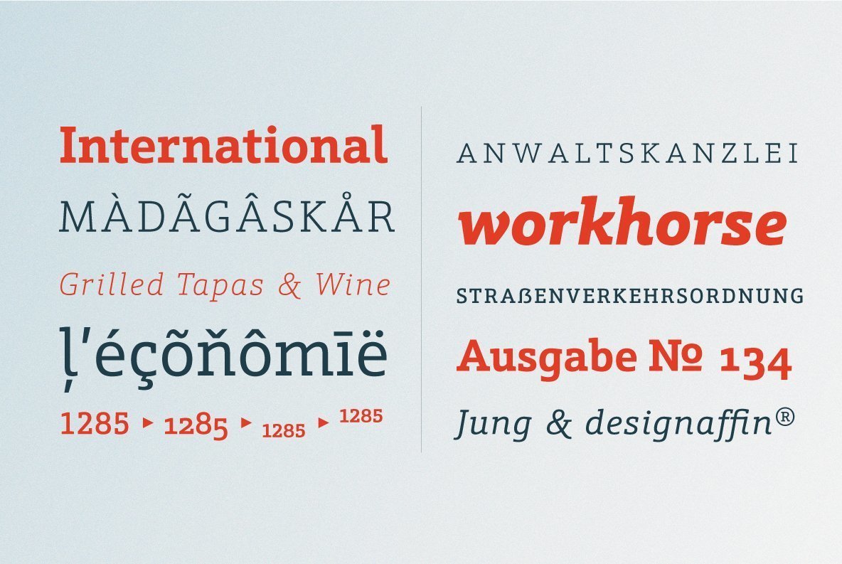 Schnebel Slab Font Family插图2