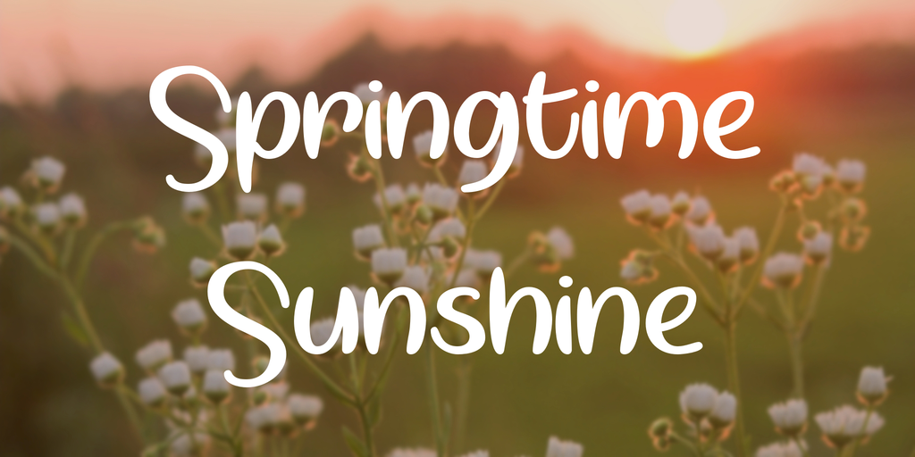 Springtime Sunshine Font插图