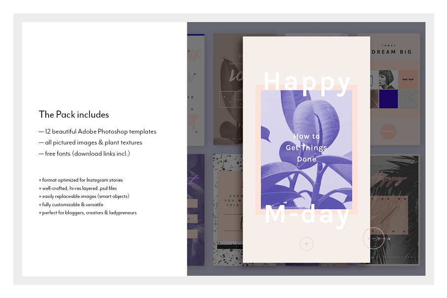 时尚大气Instagram故事贴图模板素材库精选 Instagram Stories • Alrún插图(1)