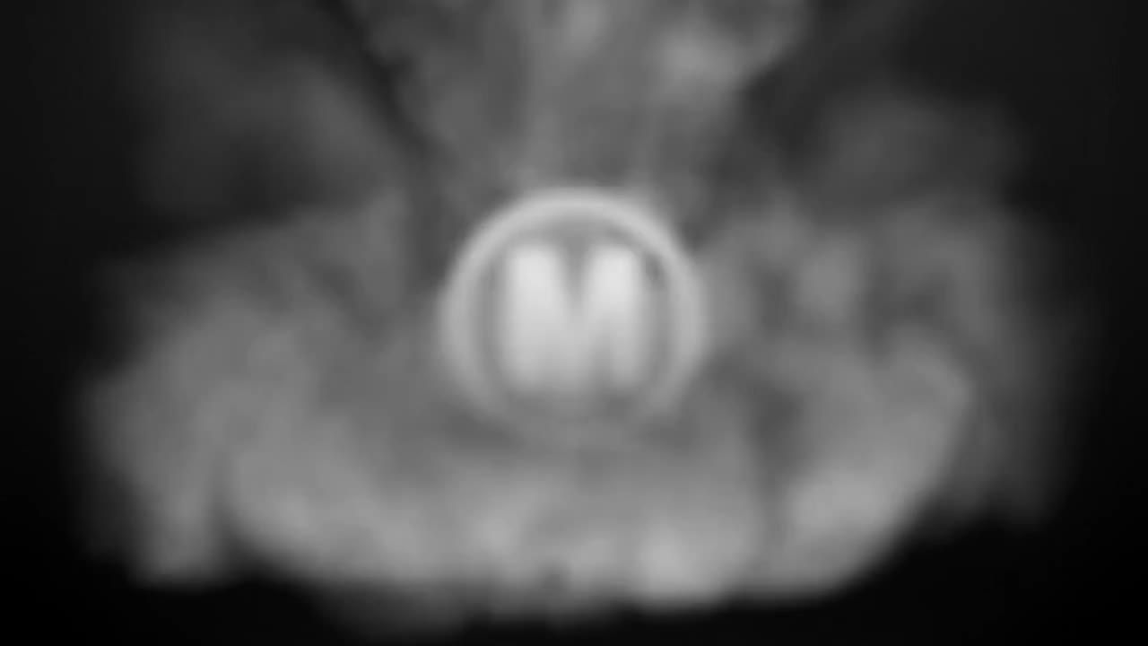 优雅的深色烟雾背景logo展示动画素材库推荐PR模板