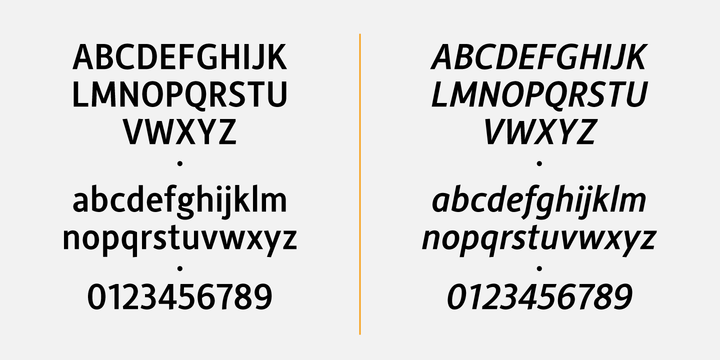 Alber New Font Family插图3