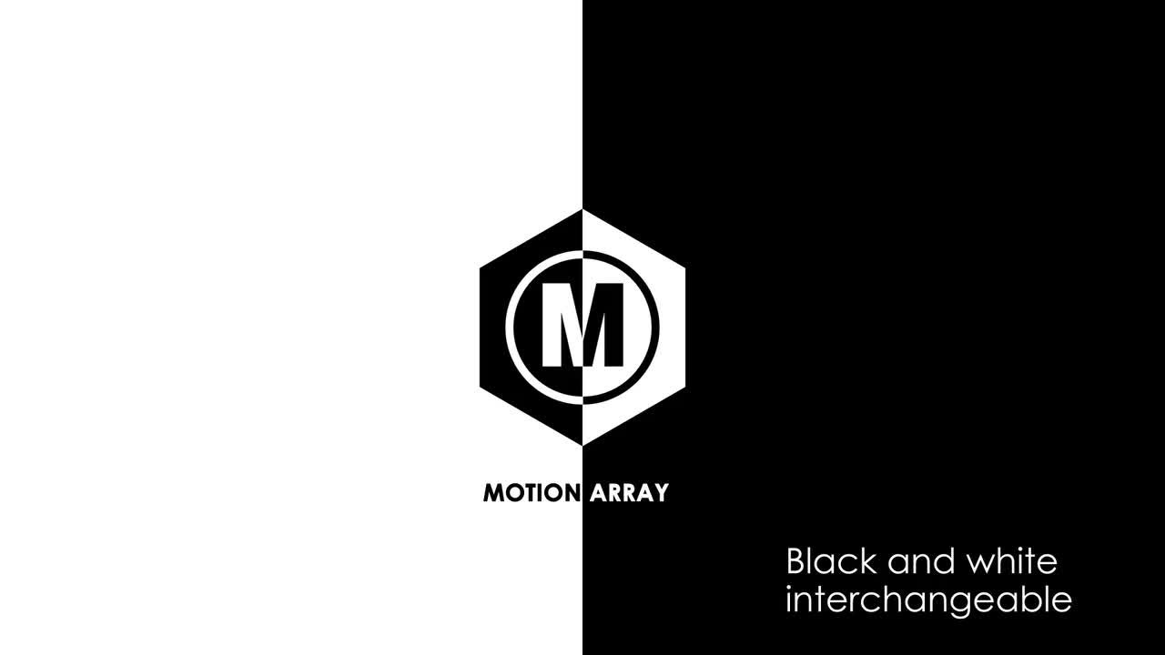 简短黑白徽标动画素材库精选AE模板