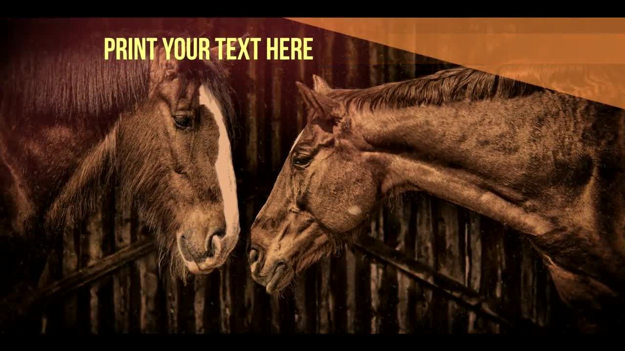 美观且优雅的旅行幻灯片素材库精选AE模板