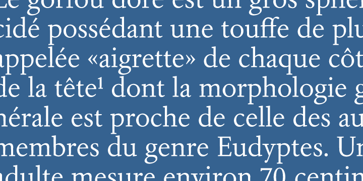 Aragon Font Family插图1