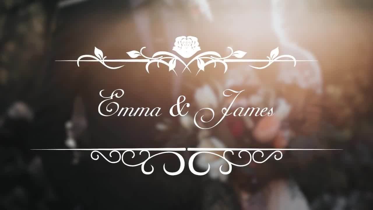 美丽的文字标题素材库推荐PR模板