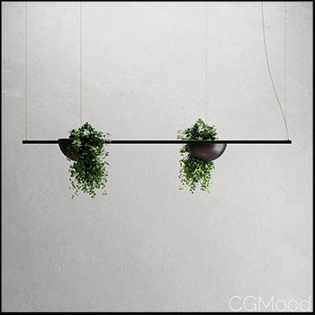 常春藤绿色植物素材之家精选3D模型