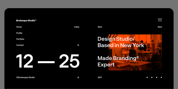 Neurial Grotesk Font Family插图4