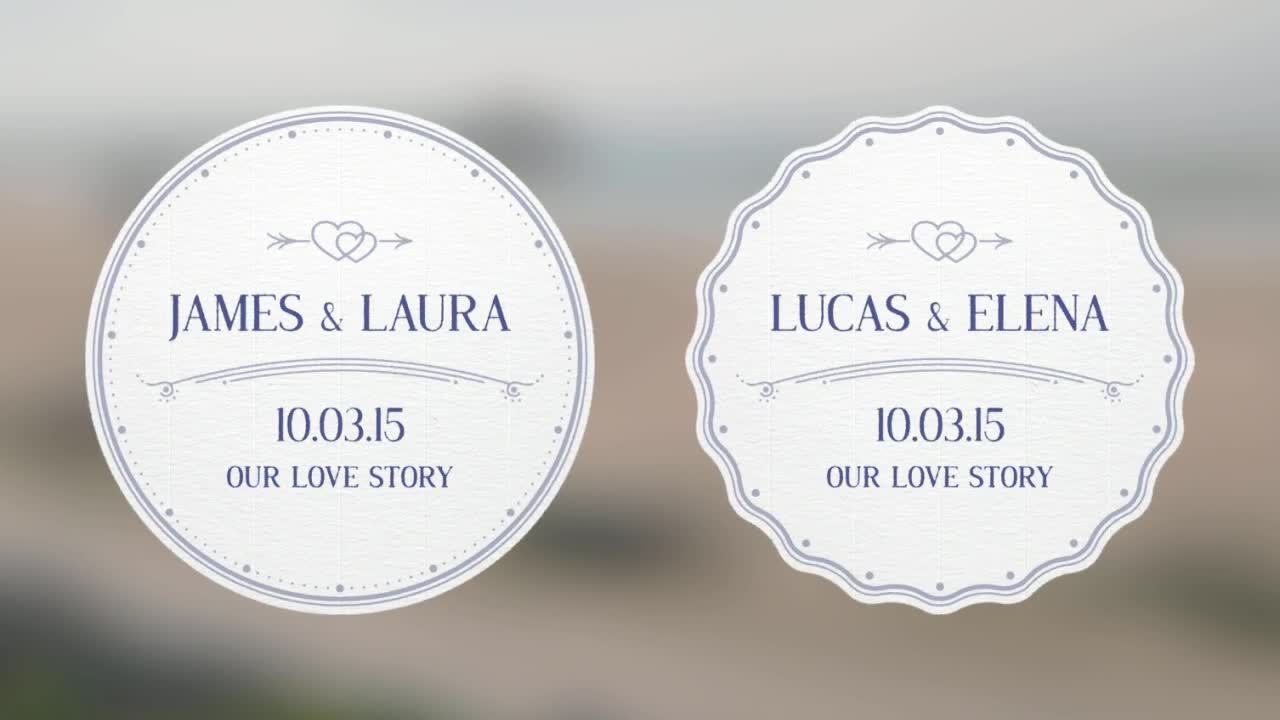 美丽的婚礼LOGO展示素材库精选AE模板