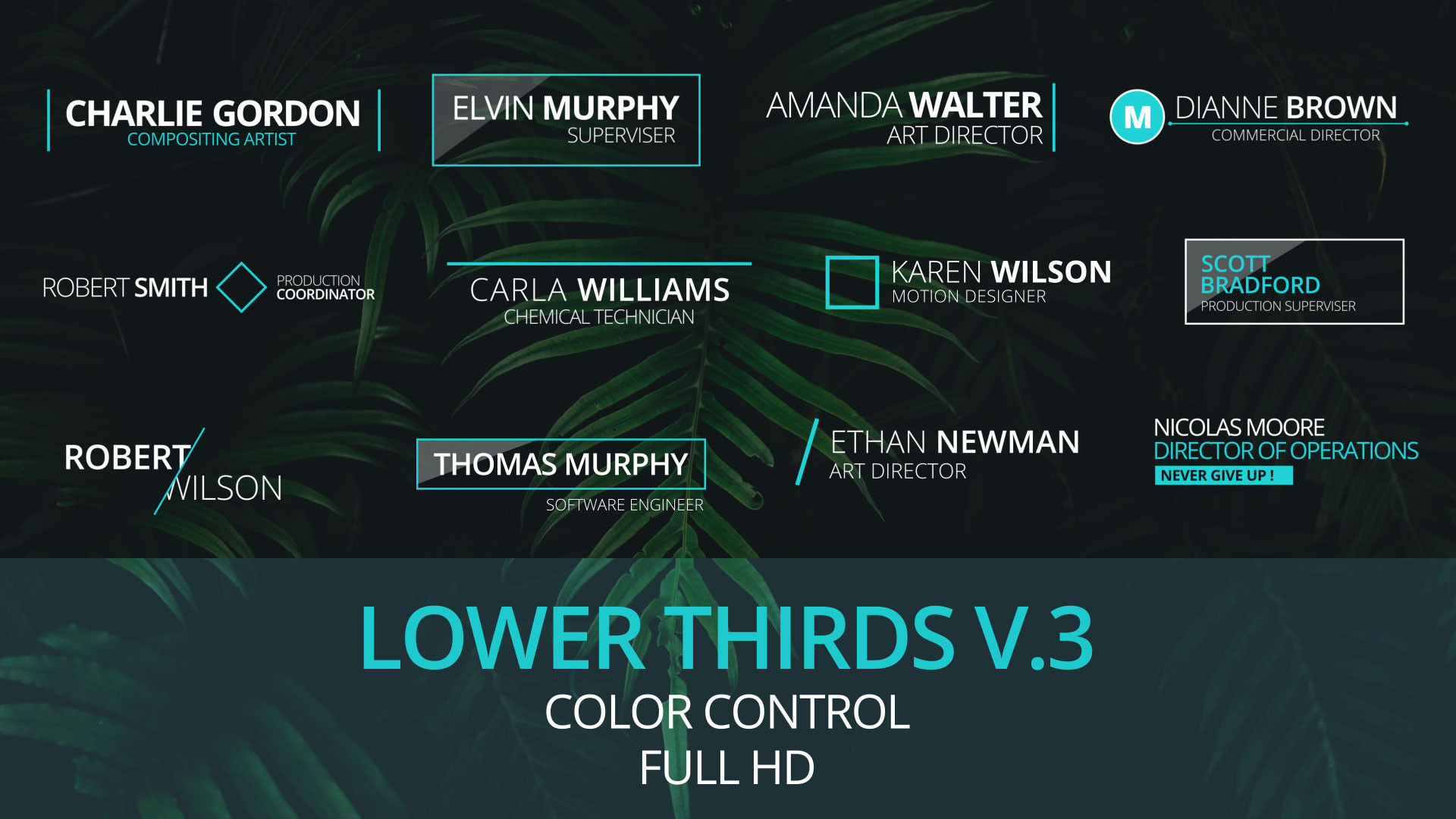12个干净外观和动态动画下三分之一标题素材库推荐PR模板