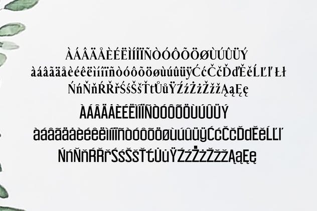 优雅华丽Carolin衬线＆无衬线字体系列下载 Carolin Duo Font Family Pack插图(4)