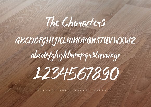 Salmonberry Font插图2