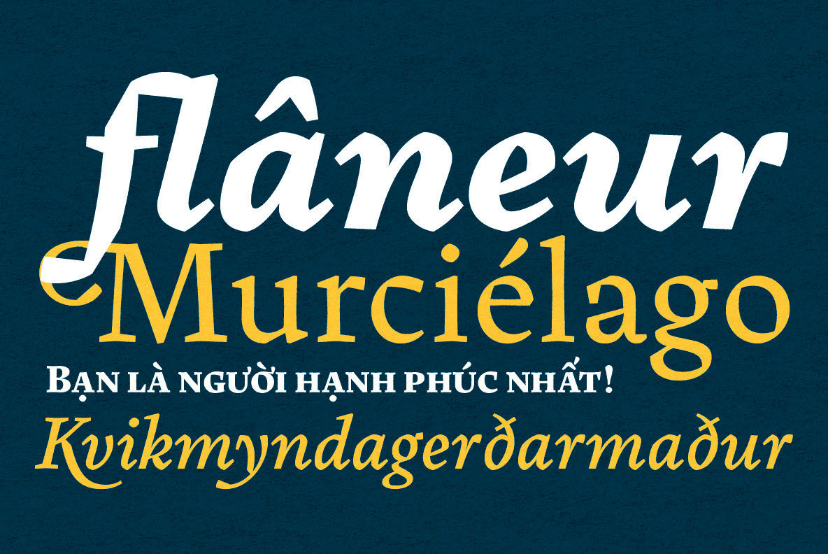 Pliego Font Family插图2